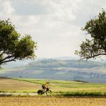 Challenge St.Pölten zieht internationales Spitzenfeld an